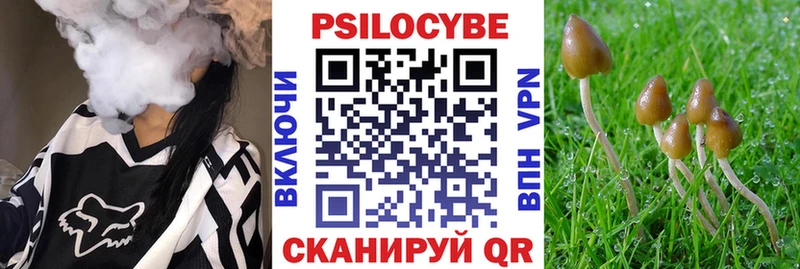 Псилоцибиновые грибы Cubensis  Гусь-Хрустальный 